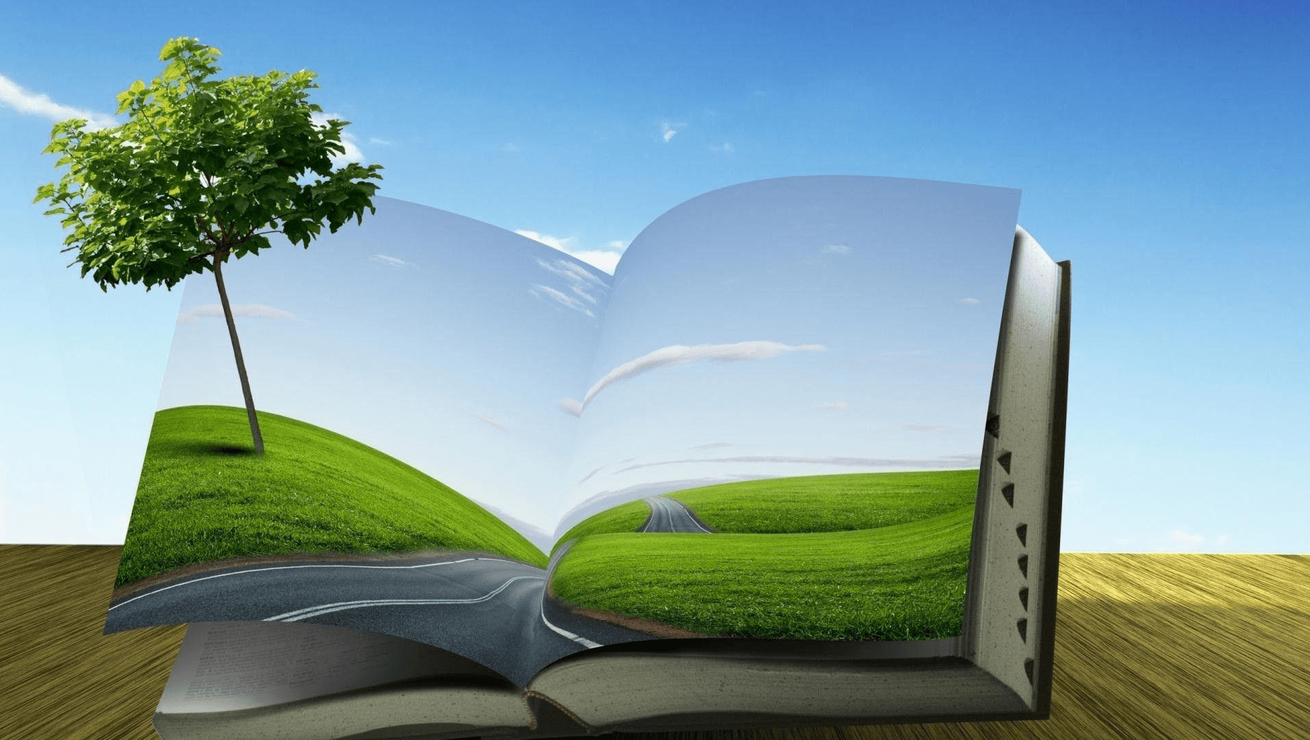 Book Buzz Reviews